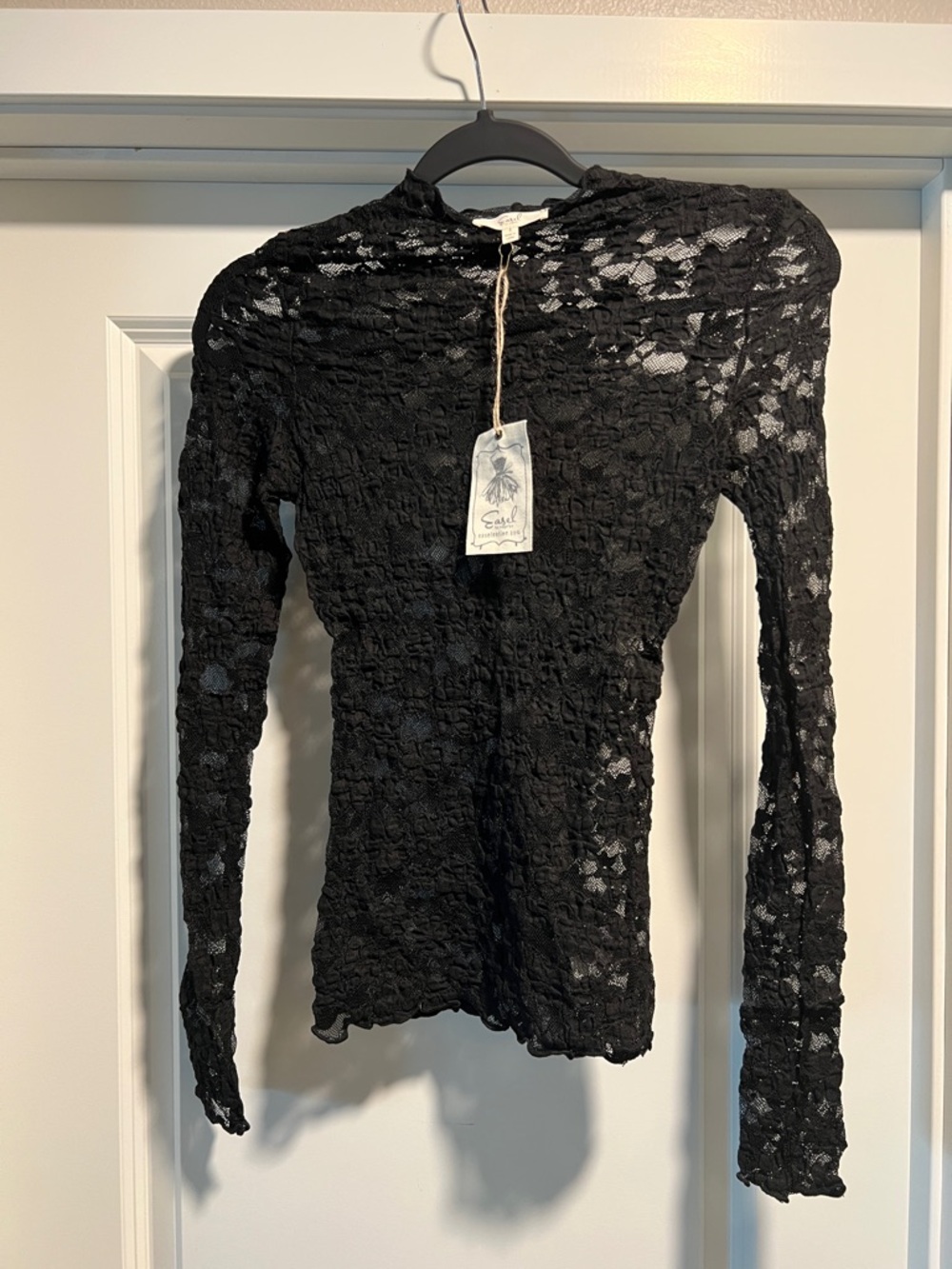 easel Black Sheer Lace Long Sleeve Top